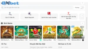 8xbet vs kubet